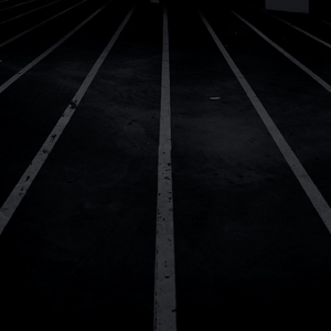 爱爱视频天天干
