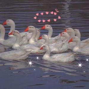 爱爱视频天天干
