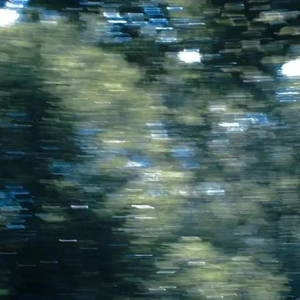 爱爱视频天天干
