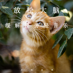 爱爱视频天天干
