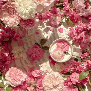 爱爱视频天天干
